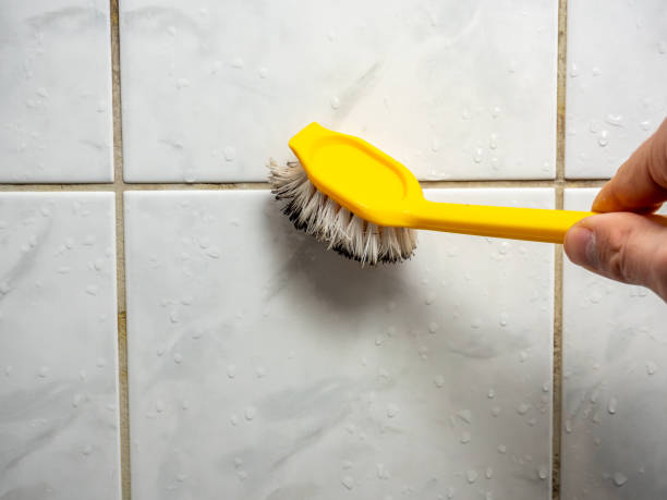 Best Mold Remediation Services  in Kahoka, MO