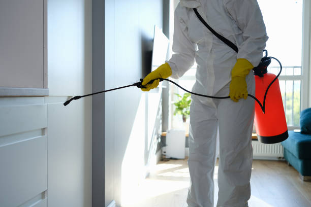 Best Toxic Mold Removal  in Kahoka, MO